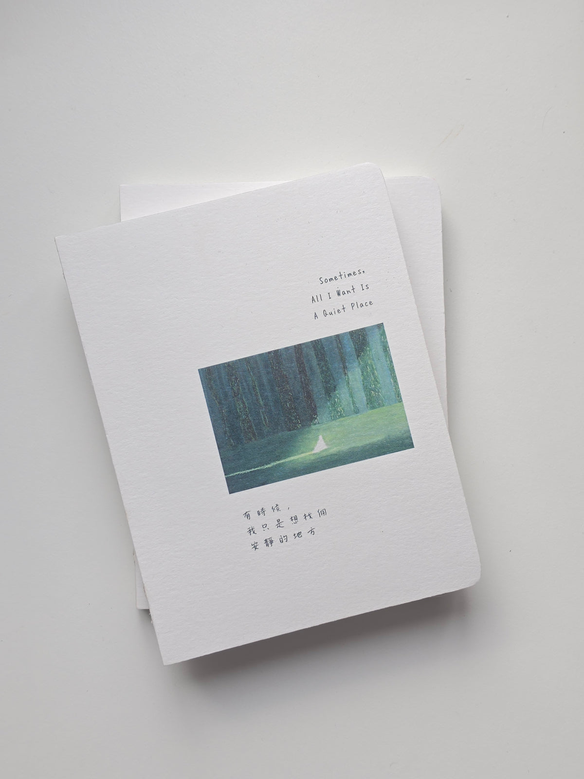 Shan.mure Notebook - The New Chapter