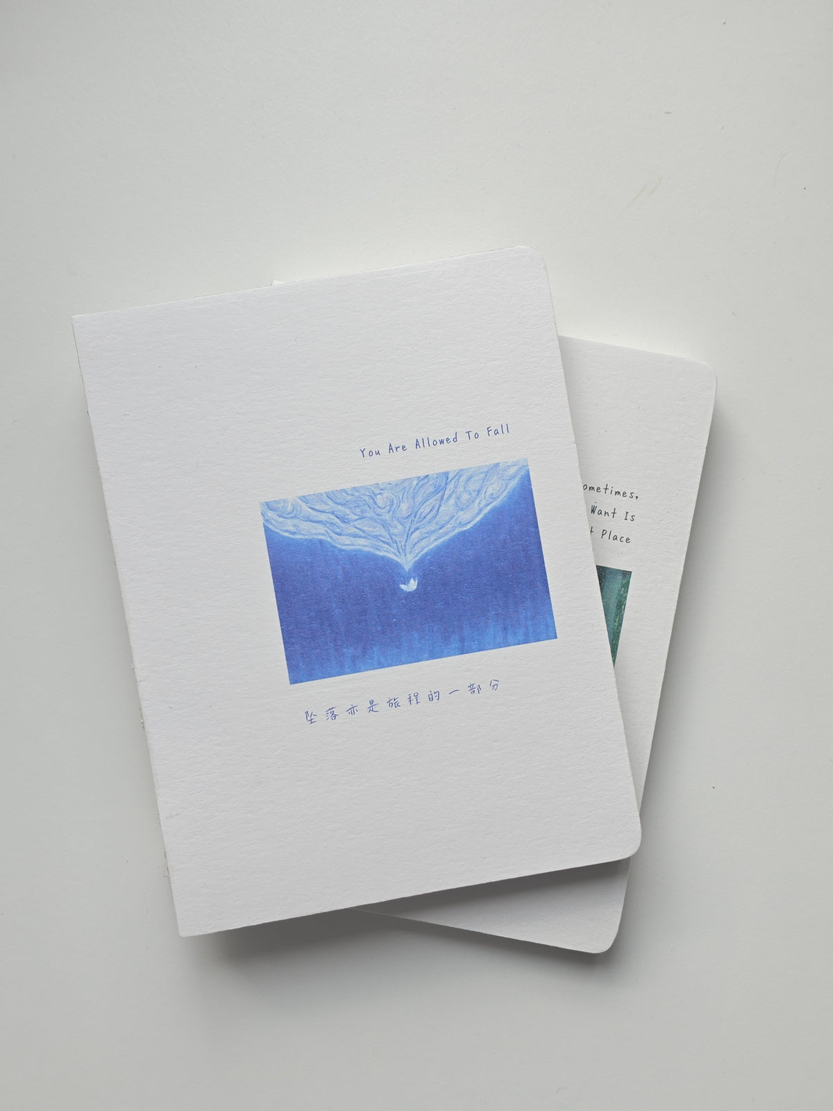Shan.mure Notebook - Allowed to Fall