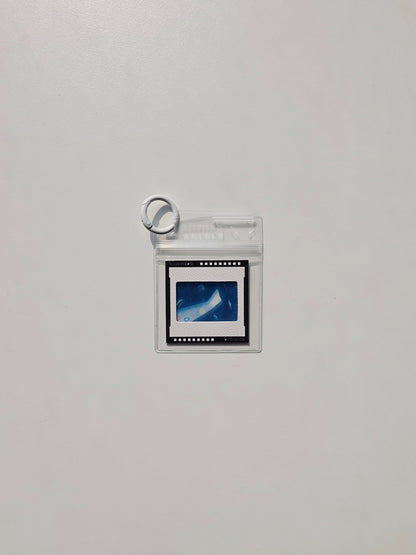 Reversal film Keychain - Bound to Bloom